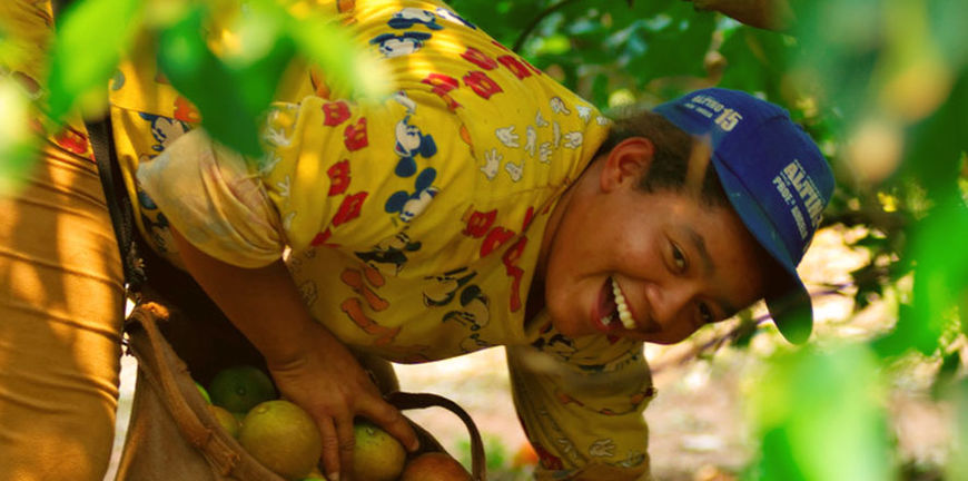 week van de fairtrade fairtrade bedrijven fairtrade eten eerlijke ananas fairtrade ananas